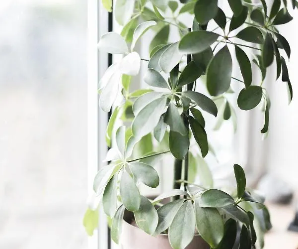 The Stop Bed & Breakfast 3*