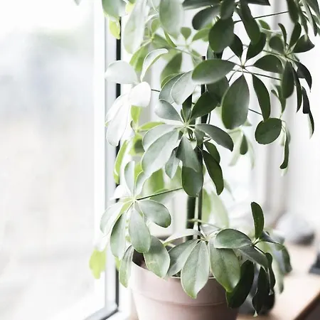 The Stop Bed & Breakfast 3*